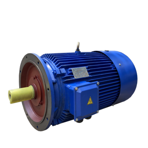 Motor eléctrico de CA trifásico IP55 a prueba de goteo 380V-50hz-60hz Motor asíncrono con carcasa de hierro fundido núcleo de cobre - Product Image 5