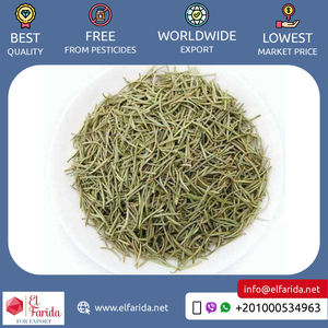 Hojas de Romero de alta calidad, las especias y hierbas individuales más vendidas de Egipto, precio razonable, proceso de secado en caliente - Product Image 4