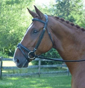 Bride d'essuyage personnalisation bon matériel de fantaisie couleur café ensemble complet confort extérieur fantaisie décorative - Product Image 3