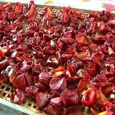 Fourniture de Gac rouge foncé naturel vietnamien - Product Image 3