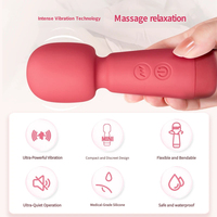 Mini vibromasseur 5 vitesses 5 modes de vibration étanche en silicone rechargeable par USB pour femmes