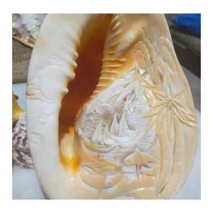 VENTE FLASH - ARTICLES EN COQUILLES MARINES NATURELLES - BON PRIX - ARTISANAT FABRIQUÉ À LA MAIN À PARTIR DE COQUILLES MARINES - COQUILLES MARINES MULTICOLORES DU VIETNAM - Product Image 3