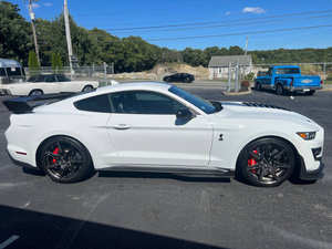 Construido estándar 2021 for-d must-ang Shelby GT500 - Product Image 2