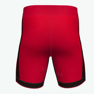 Respirant extensible MMA Shorts hommes entraînement combat équipement vêtements de sport sport athlétique Kickboxing BJJ UFC Shorts - Product Image 3