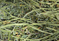 Alfalfa et foin de timothée de qualité supérieure, purement naturels, riches en protéines, en cubes, séchés, qualité A, alimentation animale pour bovins, chevaux, porcs