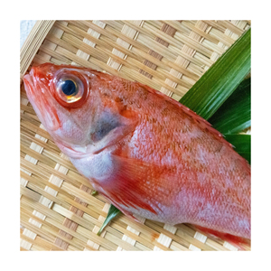 ปลาทะเลสีแดงแช่แข็งจำนวนมากซื้อออนไลน์ - Product Image 1