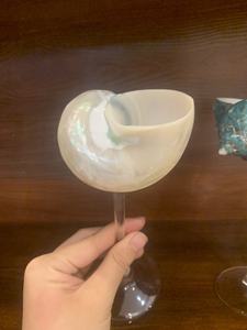Tasse de coquillage de luxe verres en coquille polie naturelle pour les restaurants modernes et la décoration intérieure sur le thème de l'océan Vietnam - Product Image 2