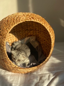 Handmade Nước Hyacinth Mèo Giường Từ Việt Nam Phong Cách Và Ấm Áp Haven Cho Bạn Lông Thú Sinh Thái Yêu Thương Động Vật Khuôn Mẫu Nhà - Product Image 5