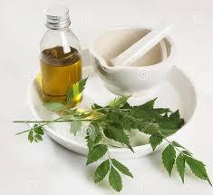 สารสกัดจากสะเดาสกัดเย็นออร์แกนิกน้ำมันจากป่าปลูกด้วยสารต้านอนุมูลอิสระสำหรับบรรจุในขวด - Product Image 5