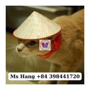 หมวกทรงกรวย Non-La ขายดี: งานฝีมือสวยงาม พร้อมส่งออกจากเวียดนาม - Product Image 4