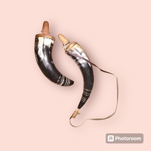 Cuerno de polvo estilo Búfalo con técnica tallada Soporte de correa de cuero para manualidades naturales Muestra gratis disponible - Product Image 5