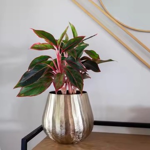 Pot de fleurs en laiton élégant avec finition brillante pour table de salon ou décor de bureau d'affichage succulent d'intérieur - Product Image 1