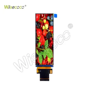 Wisecoco Fabriek Stabiele Levering 4.58 Inch Tft Scherm Aangepaste Helderheid Interface Touch Optionele 320*960 Gestrekte Balk Lcd-Scherm