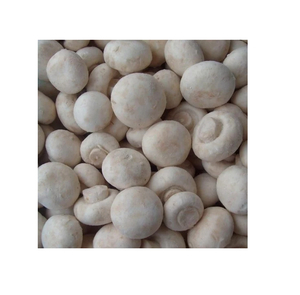 Champiñones congelados de alta calidad a la venta a precios asequibles, ideales para cocinar y preparar comidas - Product Image 1
