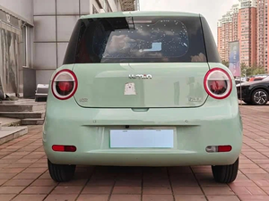 Sièges en cuir automatiques Lu min 2023, 2 portes, 4 places, équipements haut de gamme - Product Image 5