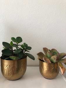 Pots de fleurs en laiton antique pour chambre à coucher et salon jardinières en métal faites à la main vente chaude articles décoratifs de jardin - Product Image 2