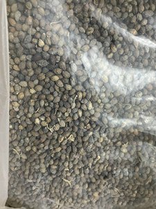 เมล็ดมะละกอแห้งสำหรับโครงการผลิตและสมุนไพรที่เชื่อถือได้ - Product Image 6