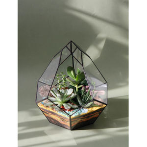 Best Export Quality <b>Clear</b> Glass <b>Vase</b> Planter with Unique Geometric Terrarium Design Black Finished Tabletop Decorations for Home - Product Image 1