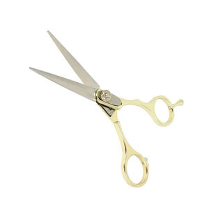 Ciseaux de salon de coiffure fantaisie demi-or lame droite ciseaux de salon de beauté en acier inoxydable allemand - Product Image 1