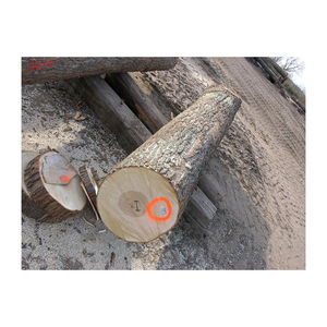 Bûches d'érable de qualité supérieure pour l'approvisionnement en vrac des fabricants de meubles et distributeurs de bois - Product Image 4