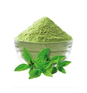 Polvo de Hoja de Tulsi (Basil) |   Ocimum Sanctum |   Polvo Herbal para Desintoxicación y Limpieza - Product Image 6