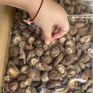 เวียดนามผู้จัดจำหน่ายทั้งหมดของเห็ดแดงสดอร่อยจากเวียดนาม - Product Image 6