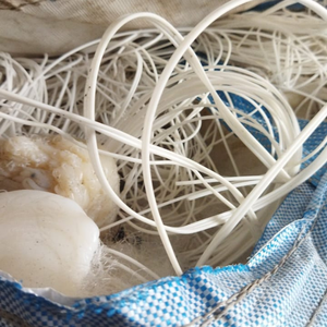 เศษไนลอน PA06 สีขาว เกรดอัดรีด สำหรับใช้ในงานใยสังเคราะห์ในถุงจัมโบ้ - Product Image 5