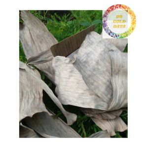 Hojas de plátano secas orgánicas Origen de Vietnam Suministro a granel Producto agrícola natural para la industria alimentaria - Product Image 4
