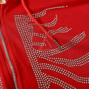 Haute qualité 100% coton hommes strass sweats à capuche hiver respirant écologique OEM Service couleurs et Logo personnalisés - Product Image 5