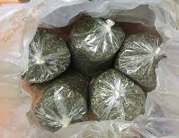 มะละกอแห้ง Leaves_High สินค้าที่มีคุณภาพจากเวียดนาม - Product Image 4