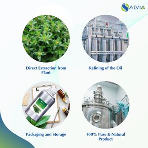 Huile de thym 100% pure et naturelle en gros en vrac prix le plus bas emballage personnalisé - Product Image 4