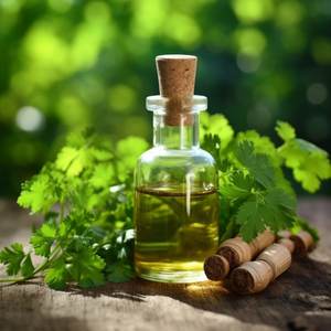 Aceite esencial de cilantro puro 100% Aceite esencial de cilantro al por mayor Aceite esencial de cilantro puro natural - Product Image 2