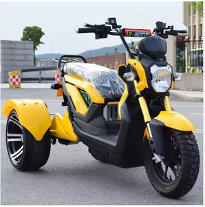 Nouveau tricycle électrique à trois roues pour adultes, 60V/50Ah 1000W, batterie amovible, puissant, prêt à être expédié... - Product Image 1