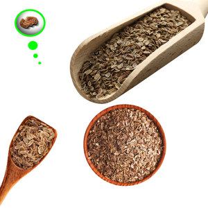 Semillas de hinojo |   Grado A1, Vida Útil de 3 Años |   Hierba Auténtica para Aplicaciones en la Industria Alimentaria |   Kohenoor International - Product Image 2