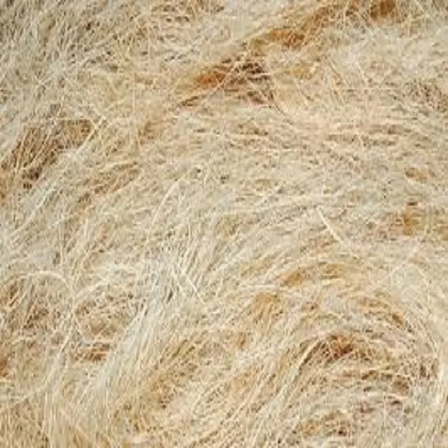 Vente en gros de fibres naturelles de palmier/de Sisal/de noix de coco