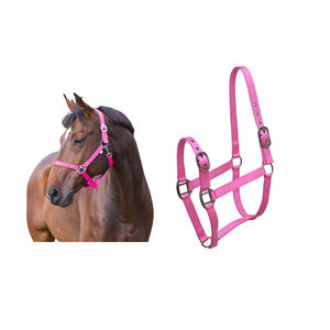 El último cabestro de cuero de nailon resistente para montar a caballo estilo inglés occidental hecho con materiales de PVC PP colección actual - Product Image 3