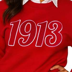 <b>Red</b> 1913 DST Chenille Crewneck Sweatshirt Premium Fleece Sorority Apparel Greek Delta Clothing Cozy Winter Top - Product Image 3