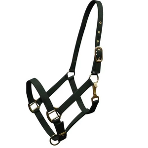 Licol réglable en nylon pour cheval, solide, durable et confortable, licou d'entraînement haut de gamme, vente en gros de matériel équestre en vrac - Product Image 1