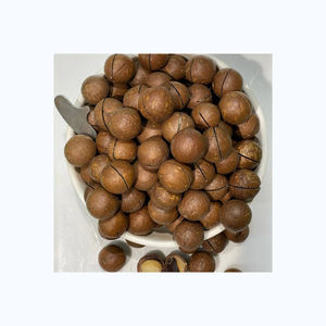 Nueces de Macadamia orgánicas a la venta - Product Image 1