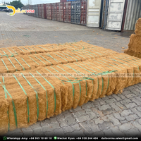 FIBRE DE NOIX DE COCO AVEC LE MEILLEURE QUALITÉ PRIX BON MARCHÉ POUR MATELAS FIBRE DE COIR DE DAI LOC VINA