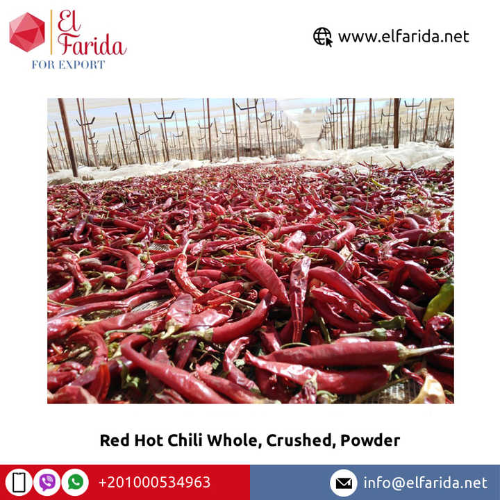 Superior Quality Hot Selling Premium Grade Single Spices Red Hot Chili Whole, Crushed, Powder From Egypt at Bulk Price