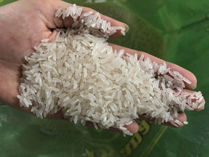 Arroz jazmín superventas para todos los importadores: arroz jazmín tailandés, arroz blanco de grano largo - Product Image 2