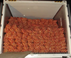 Oignons frais pelés biologiques dans des ingrédients de haute qualité - Product Image 2