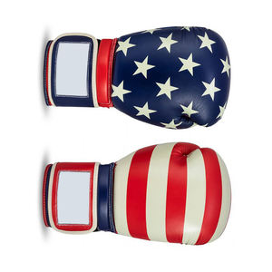SIBRIN 2025 Factory Made Professional Boxing Gloves PU Leather Customized Logo Stylish Multicolor <b>Punching</b> Gloves for <b>Men</b> Women - Product Image 5