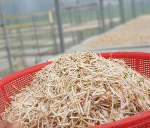 Notre soursop séché répond aux normes d'exportation, adapté à tous les marchés exigeants - Product Image 4