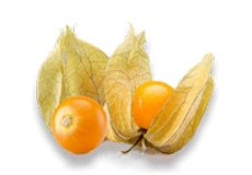 Jarabe Ayurvédico Himalaya Geriforte, Fórmula Herbal Natural para el Apoyo Inmunológico, Energía, Vitalidad y Bienestar, Uso Diario - Product Image 3