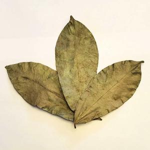 Hoja de Sousop Seca - Productos 100% Naturales Originarios de Vietnam. Precio Económico pero Alta Calidad/ Hana - Product Image 6