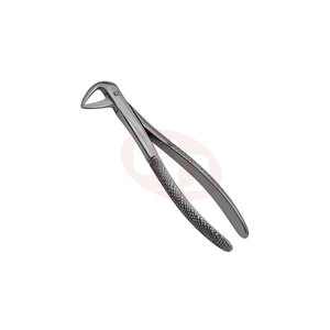 Forceps dentaire pour l'extraction de dents avec finition polonaise miroir Forceps d'extraction dentaire - Product Image 2