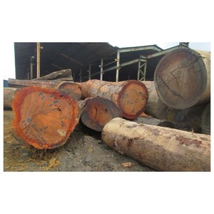 Ayous Azobe Bilinga plywood walnut mahogany beech sawn timber iroko timber teak pine <b>logs</b> teak English <b>oak</b> <b>logs</b> wood lumber - Product Image 4