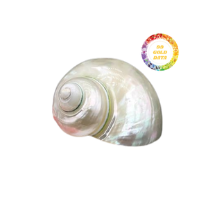 Elegantes servilleteros hechos a mano, accesorios de mesa de concha marina Natural Real para cenas y banquetes de lujo, estilo Ángel pulido - Product Image 6